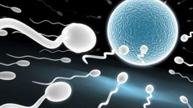 WHAT DOES SPERM TEST TELL US?